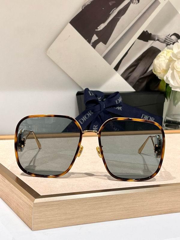 DIOR Sunglasses 816